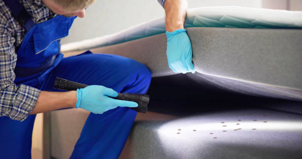 Best Pest Removal Services  in Mesa Del Caballo, AZ