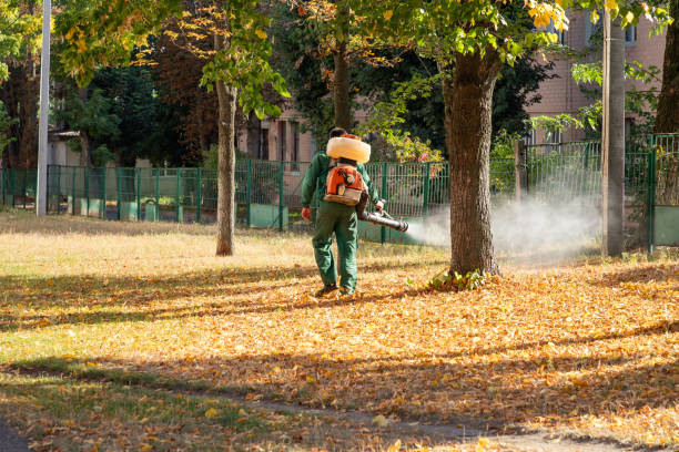 Best Flea Control Services  in Mesa Del Caballo, AZ