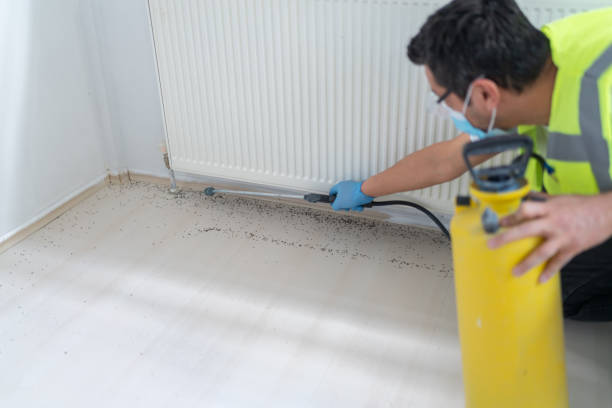 Best Termite Control Services  in Mesa Del Caballo, AZ